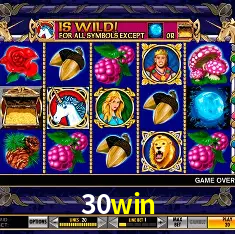 30win Rio de Janeiro - Professional Dealers